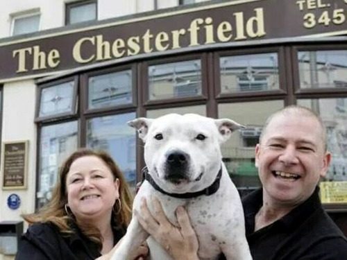 The Chesterfield Pet Friendly B&B